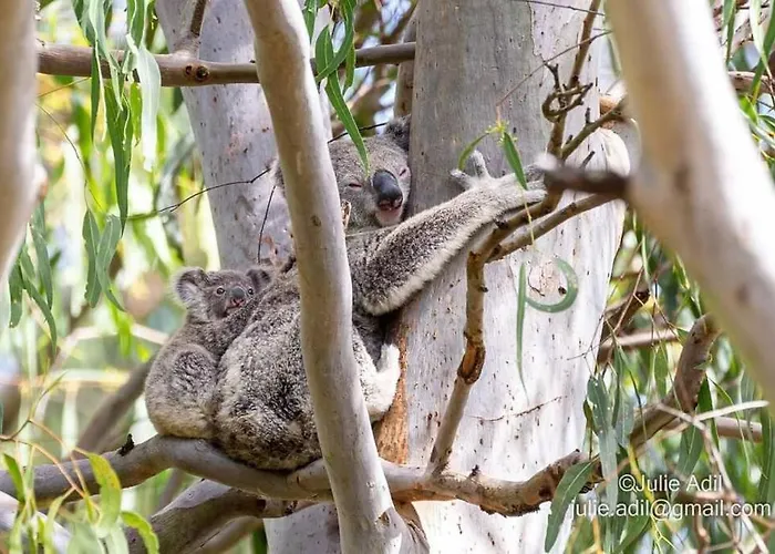 A Quiet Unit Overlooking A Reserve